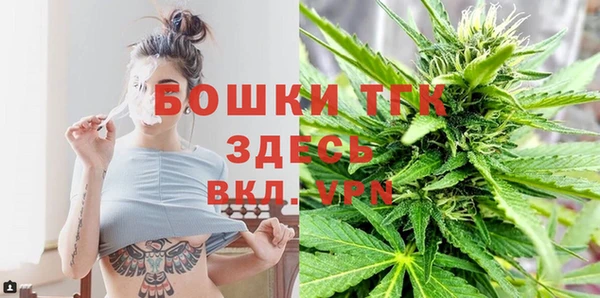 стаф Наволоки